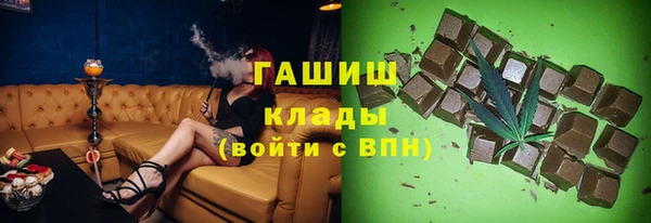 гидра Покачи