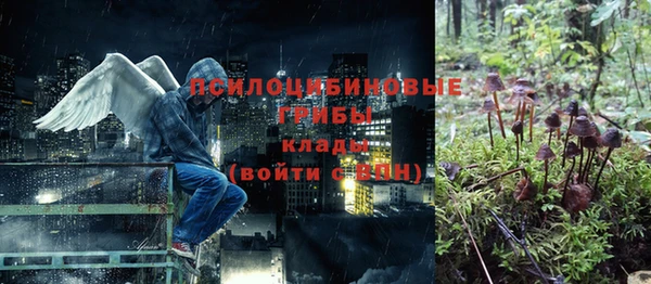 первитин Пестово