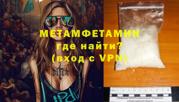 гидра Покачи
