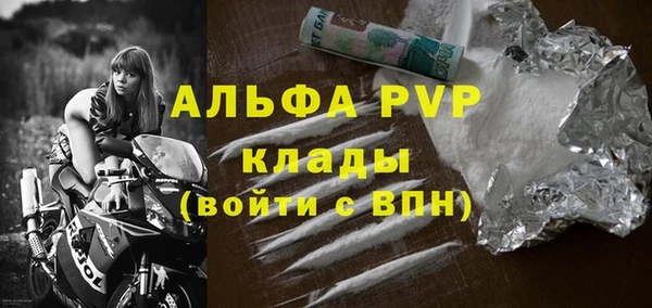 гидра Покачи