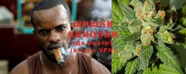 гидра Покачи