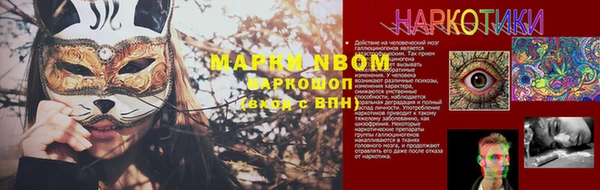 гидра Покачи