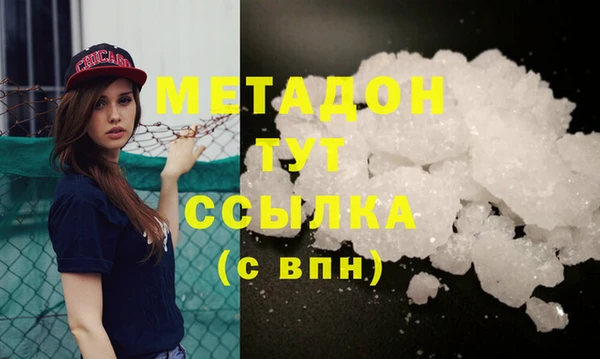 гидра Покачи