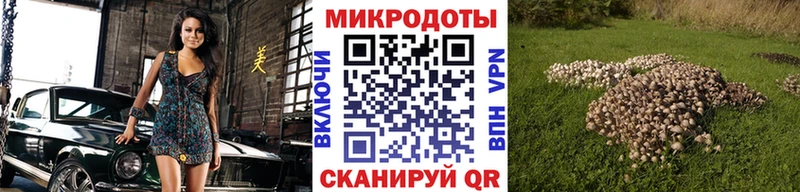 Псилоцибиновые грибы Cubensis  дарнет шоп  hydra маркетплейс  Сарапул 