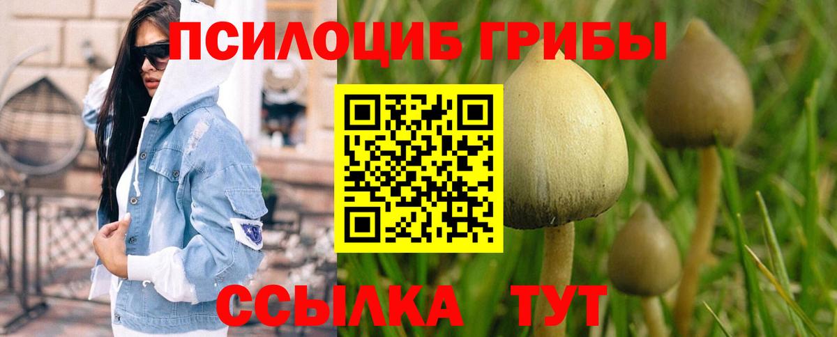 Галлюциногенные грибы Cubensis  Вход с VPN  Сарапул  Галлюциногенные грибы GOLDEN TEACHER 